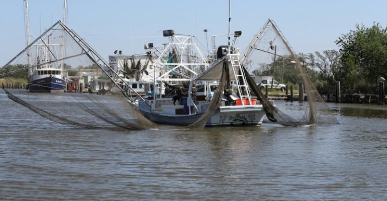 shrimp boat at work