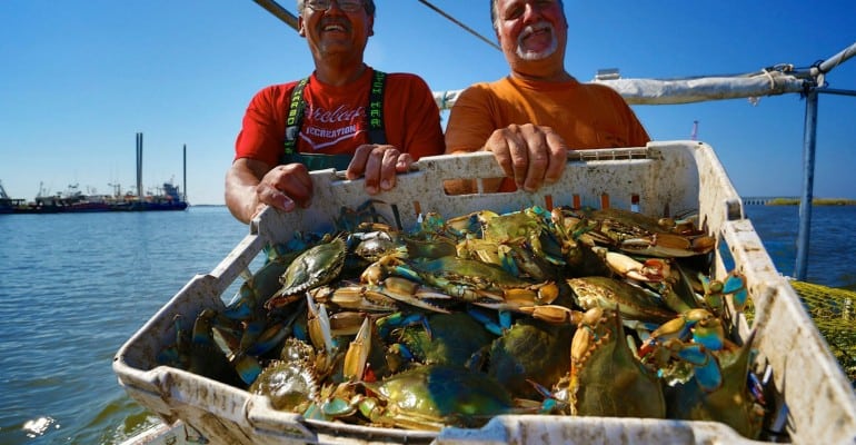 guys with fresh-caught blue crabs