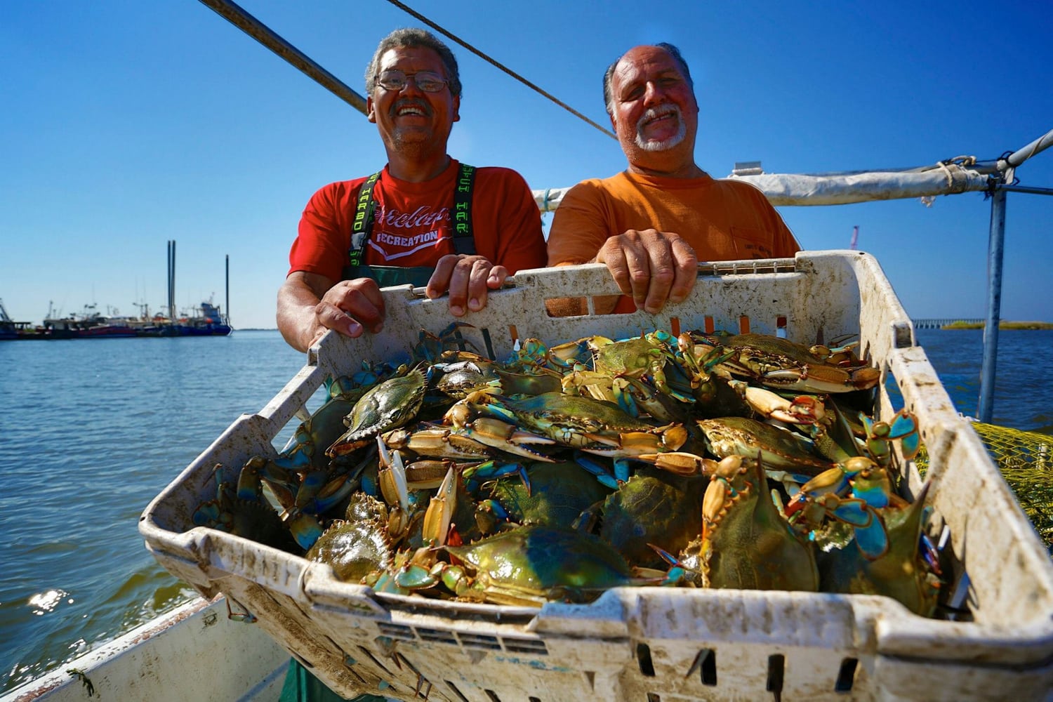 guys with fresh-caught blue crabs