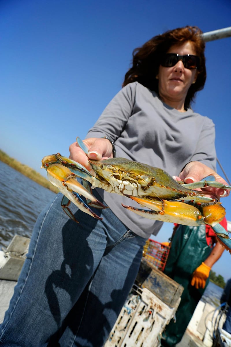 Trudy holding a blue crab