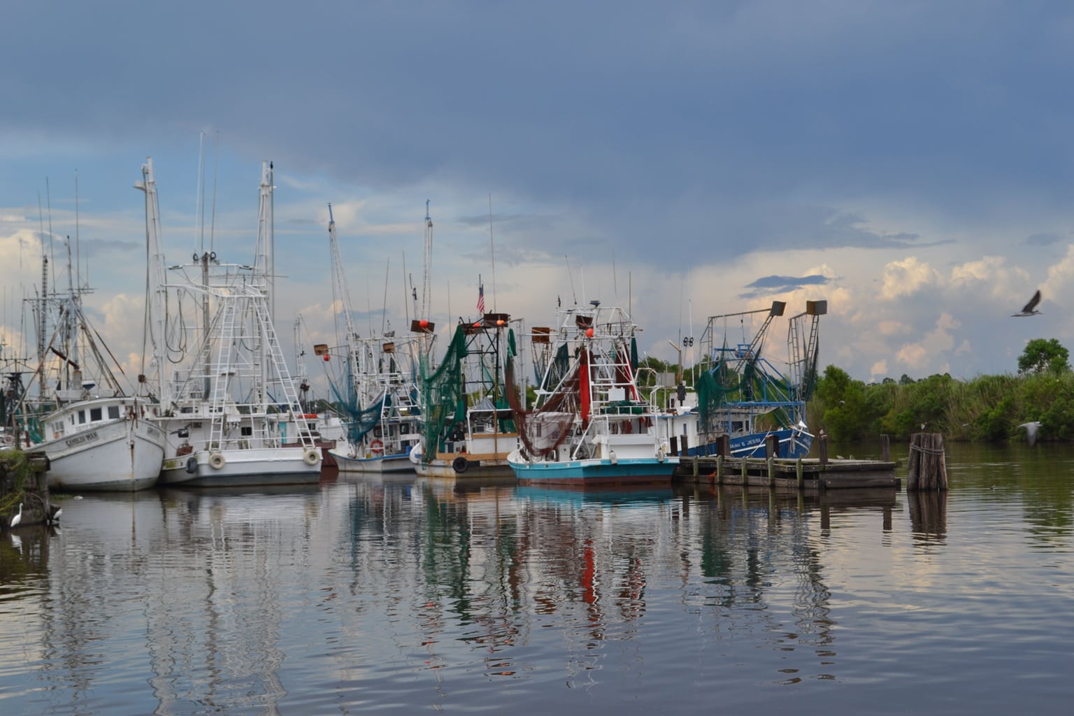 shrimp boats at pier