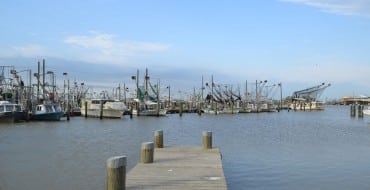 Louisiana commercial fishing