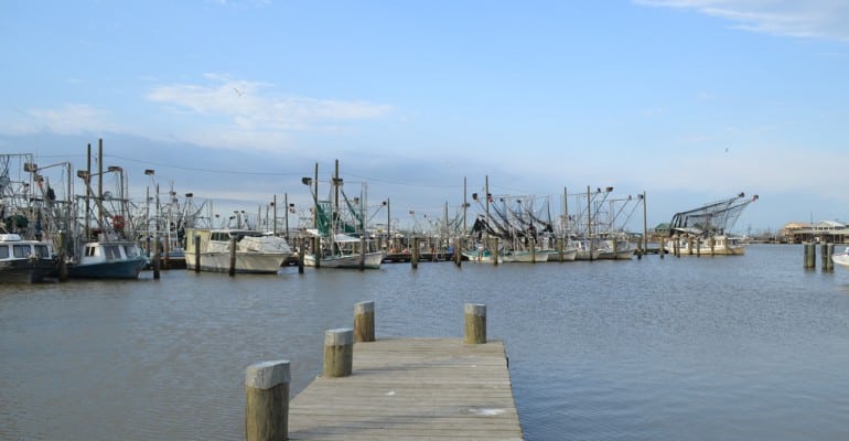Louisiana commercial fishing