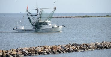 shrimp boat at sea