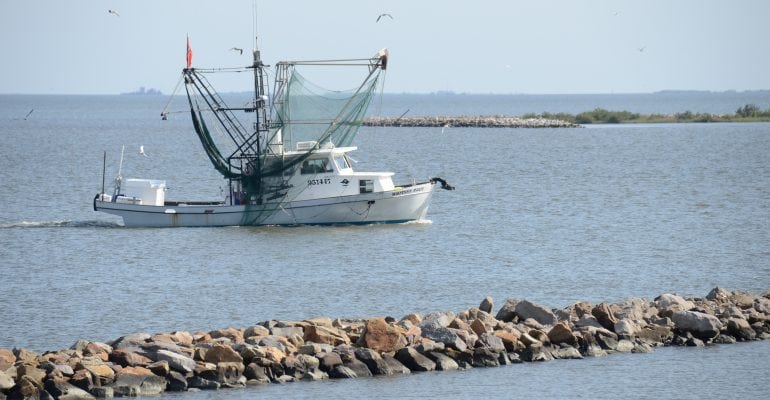 Louisiana Shrimp Season to Close December 18 in Portions of State Waters