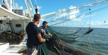 Shrimper James Blanchard pulling in shrimp net