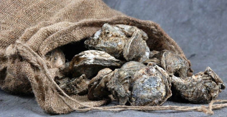 oysters spilling out of a sack