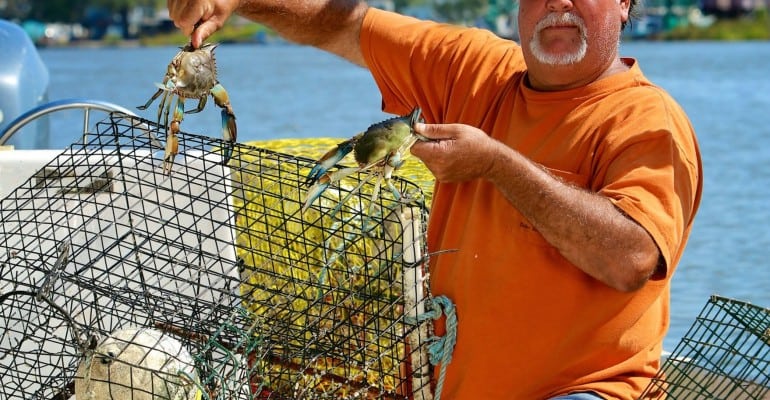 Crab fisherman