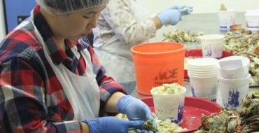 Picking crab meat