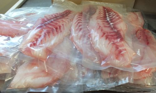 vacuumpackdrum vacuum packed black drum