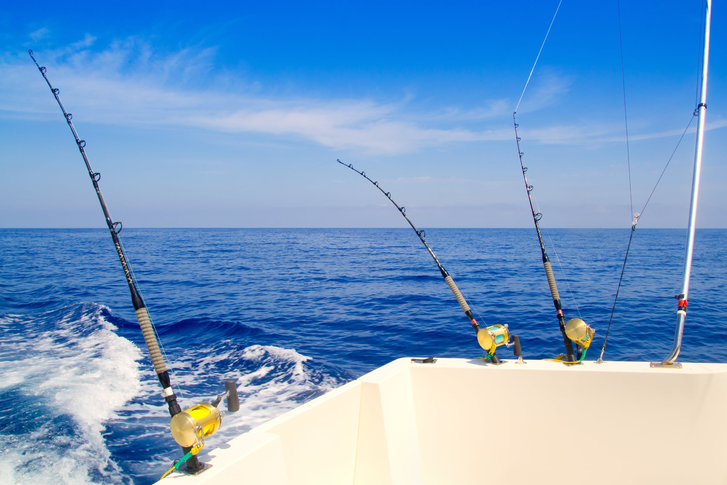 fishing rods on a boat