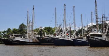 fishing boats