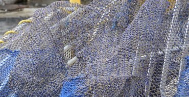 TED (turtle excluder device) and shrimp net on dock