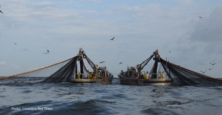 menahden boats