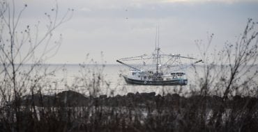 shrimp boat Grand Isle Louisiana