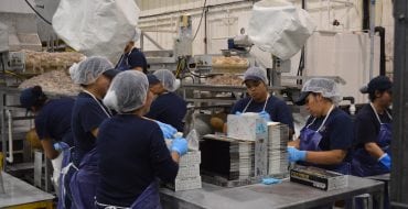 Photo of women processing and packaging shrimp at a factory
