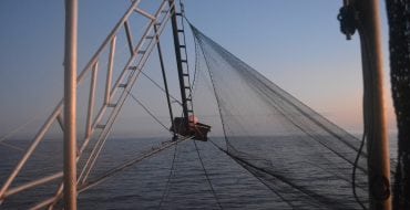 net-casting contraption