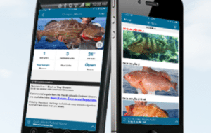 Two cell phones with Fish Rules app