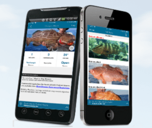 Two cell phones with Fish Rules app