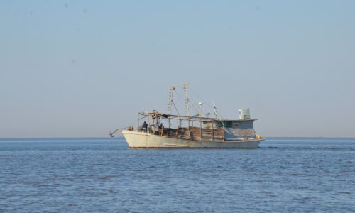 49090399691_ef52da7ad4_k oyster boat in Gulf