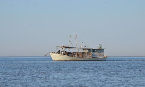 oyster boat in Gulf