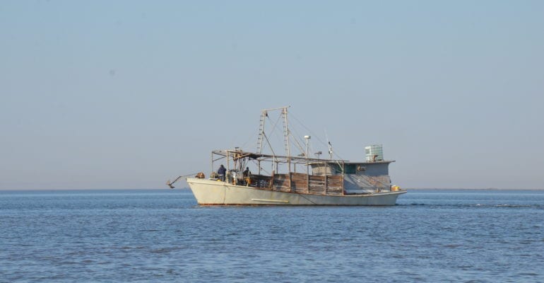 oyster boat in Gulf