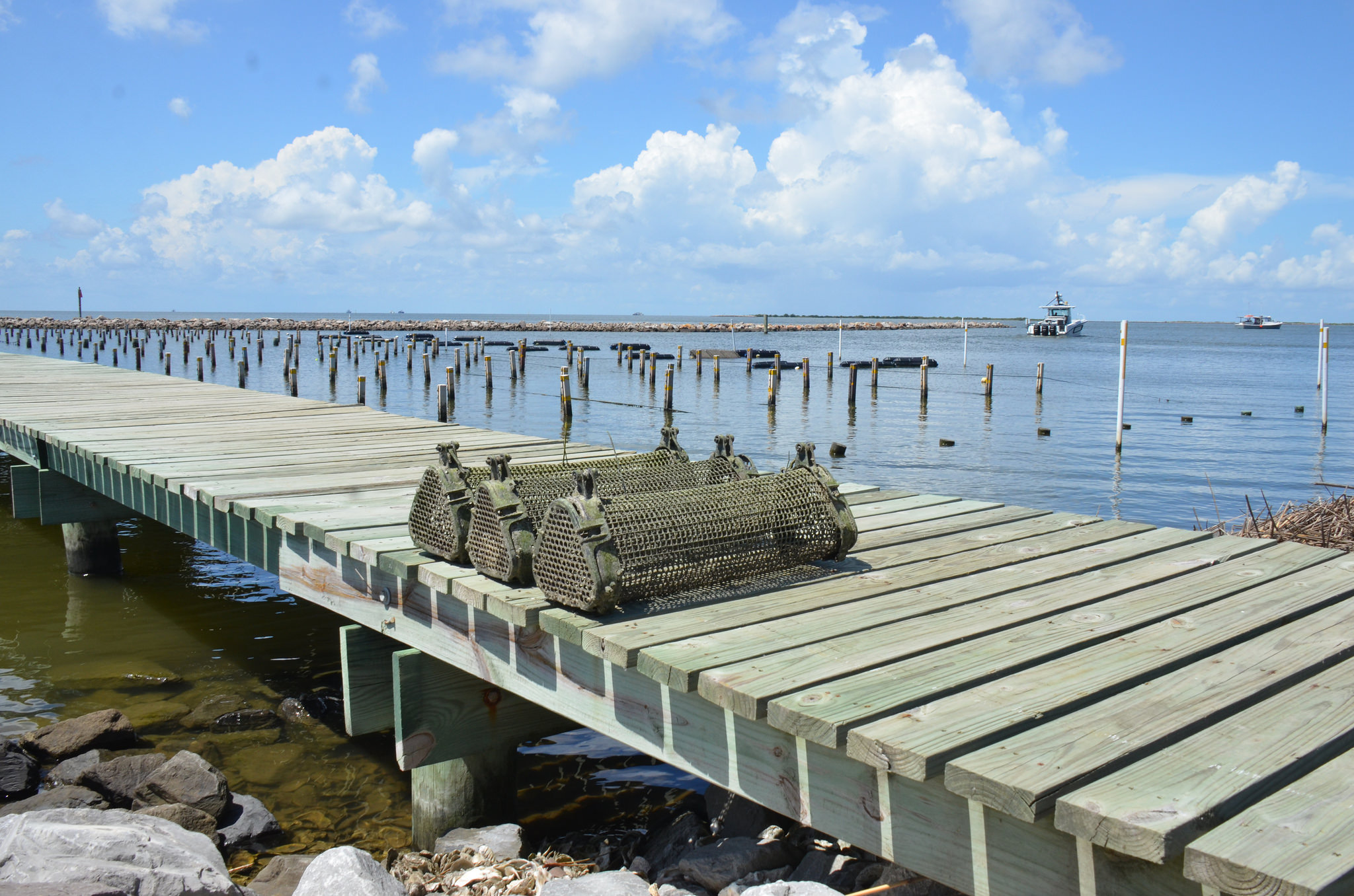 cages for alternative oyster culture on pier with longlines in water behind