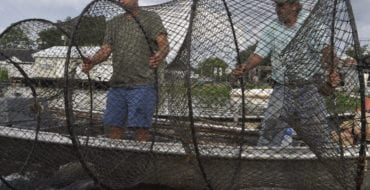 two fishermen holding large hoop net with catfish