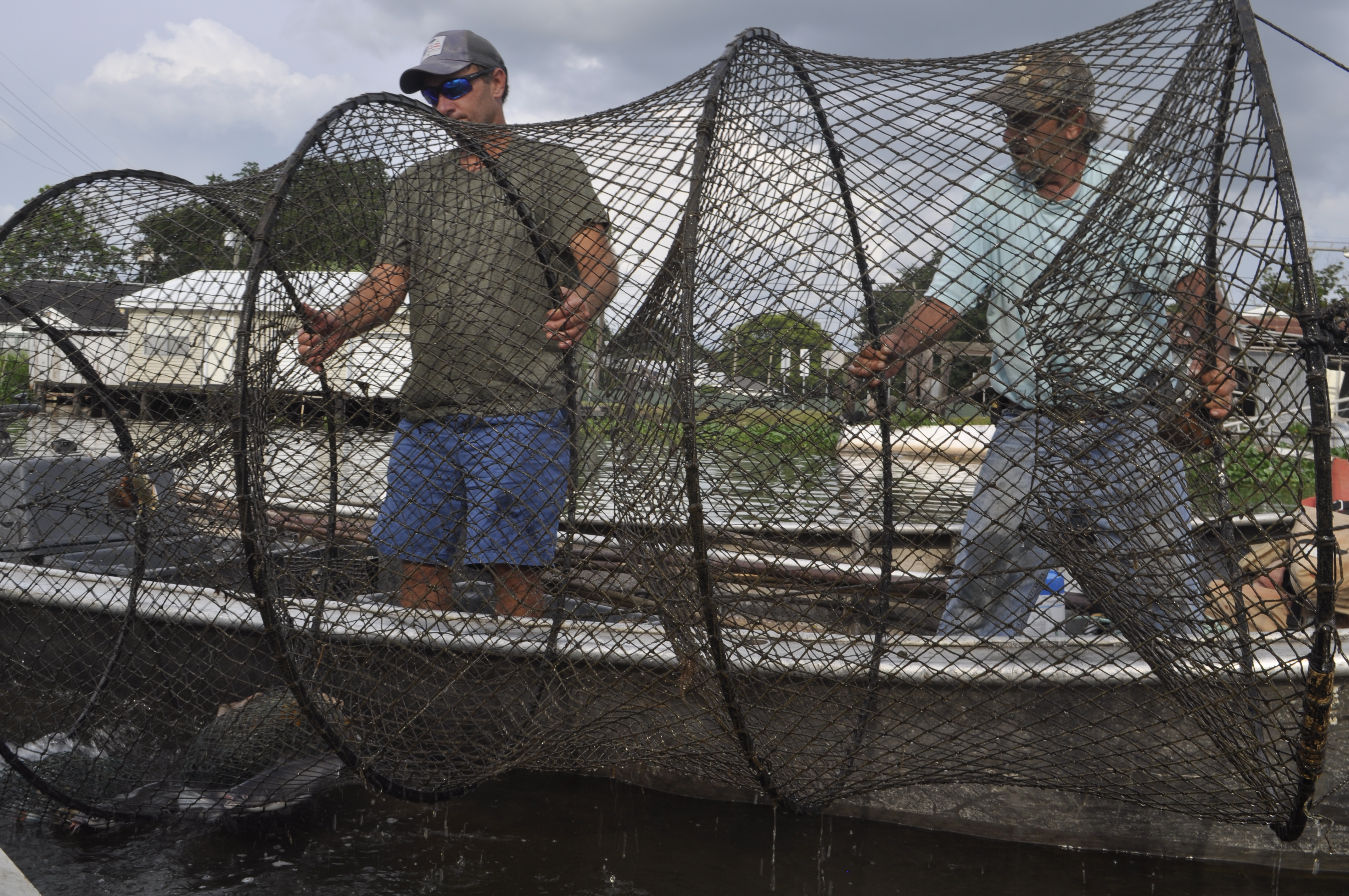 two fishermen holding large hoop net with catfish