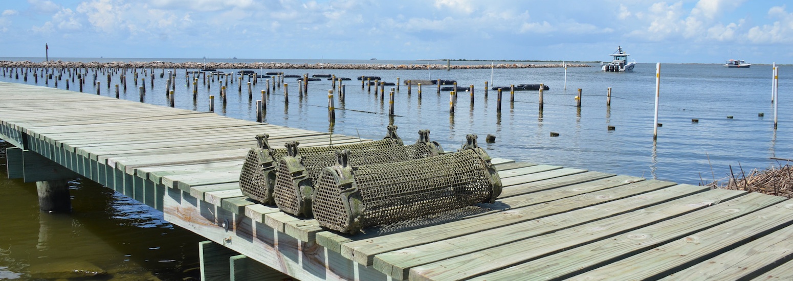 oyster cages sitting on pier