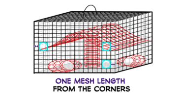 illustration of crab trap escape rings one mesh length from corners