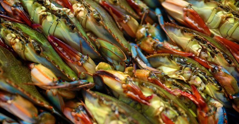 box of soft-shell crabs