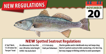 Image; New Spotted Seatrout Regulations
