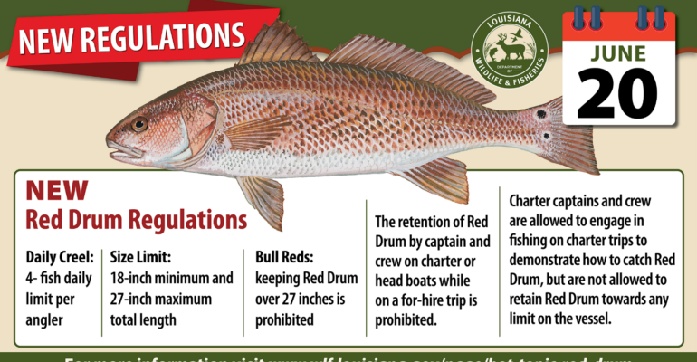 Graphic: Red Drum Regulations